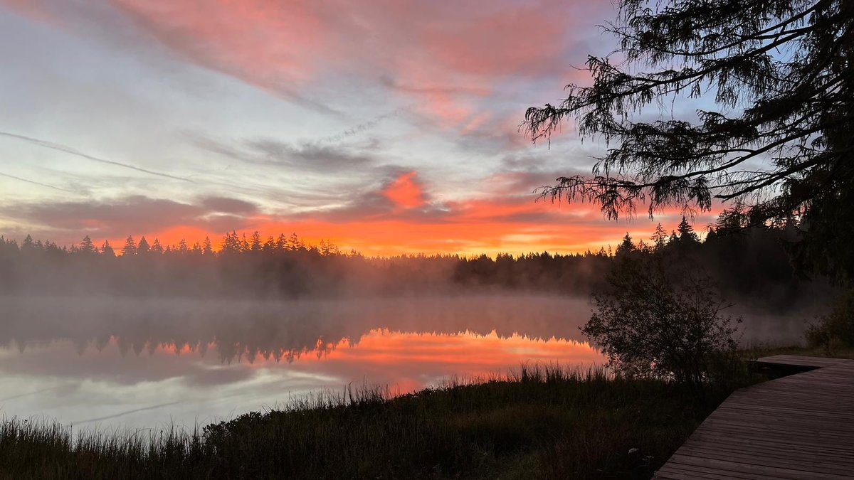 Étang de la Gruère, lever de soleil