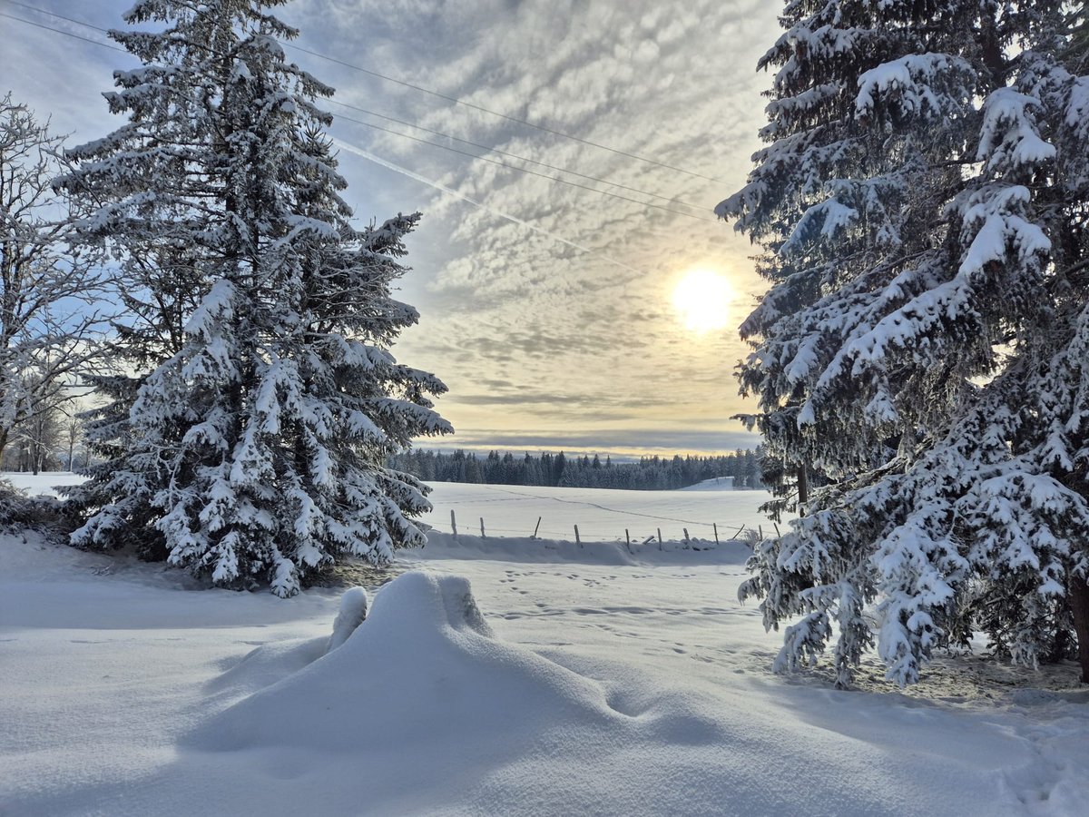 Hiver aux Franches-Montagnes